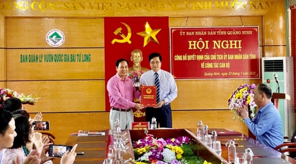 Quảng Ninh: Bổ nhiệm Phó giám đốc Ban quản lý Vườn Quốc gia Bái Tử Long
