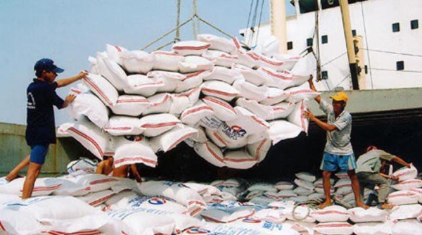 Bảy tháng đầu năm 2020 Campuchia xuất khẩu hơn 426.000 tấn gạo