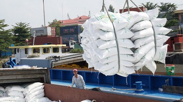 Việt Nam xuất khẩu gần 4 triệu tấn gạo trong 7 tháng