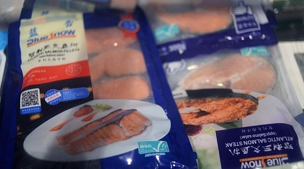 Tìm thấy virus SARS-CoV-2 trên bao bì hải sản đông lạnh ở Trung Quốc
