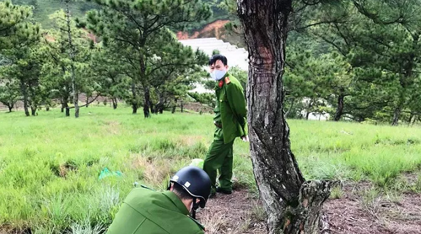 Đà Lạt: Cạnh cây thông cô đơn phát hiện thi thể và một lá thư