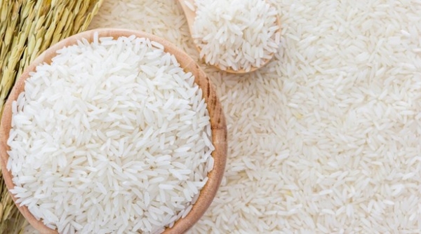 Ban hành Quy định chứng nhận chủng loại gạo thơm xuất khẩu sang EU