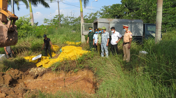 Quảng Ninh: Bắt giữ xe ô tô vận chuyển 10.000 gà con giống nhập lậu