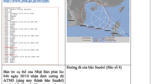 Bác thông tin bão số 8 có khả năng mạnh lên tới cấp 17