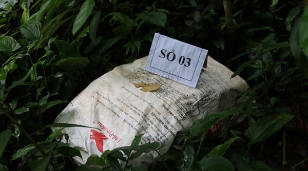 Nghệ An: Truy bắt nhóm đối tượng bỏ lại 4 bao tải chứa đầy ma túy rồi tháo chạy vào rừng