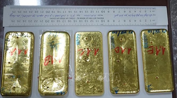 Vụ vận chuyển vàng trái phép tại An Giang: 1 đối tượng bị truy nã, truy tìm 7 đối tượng