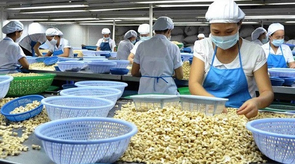 Tăng tính cạnh tranh của hàng hóa Việt Nam trong Hiệp định Đối tác Kinh tế toàn diện khu vực (RCEP)