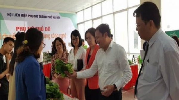 Hà Nội: Hỗ trợ kiến thức sản xuất, kinh doanh an toàn thực phẩm
