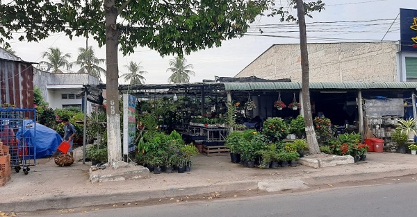 Tây Ninh: Quyết định Thi hành án bất chấp kháng nghị của Tòa án nhân dân tối cao?