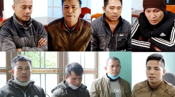 Quảng Bình: Khởi tố chủ doanh nghiệp và nhóm “lâm tặc”