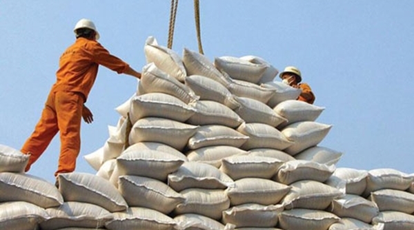 Cấp thêm 47 giấy chứng nhận đủ điều kiện kinh doanh xuất khẩu gạo