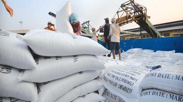 Cơ hội xuất khẩu gạo vào thị trường Hàn Quốc