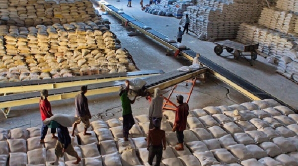 Mua gạo của Ấn Độ không có nghĩa Việt Nam đang thiếu nguồn cung