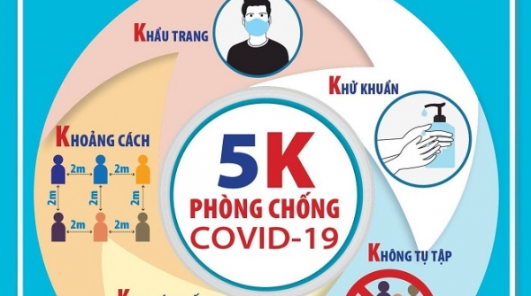 Bộ Y tế ra thông báo khẩn số 31