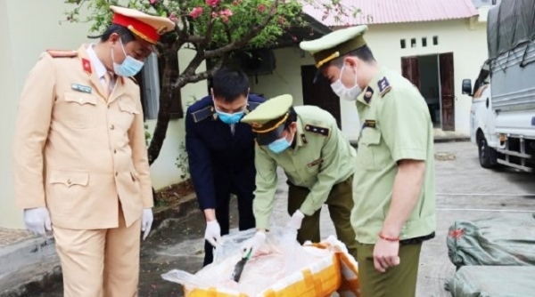 Lạng Sơn: Bắt giữ xe ô tô vận chuyển trên 2,5 tấn nầm lợn không rõ nguồn gốc