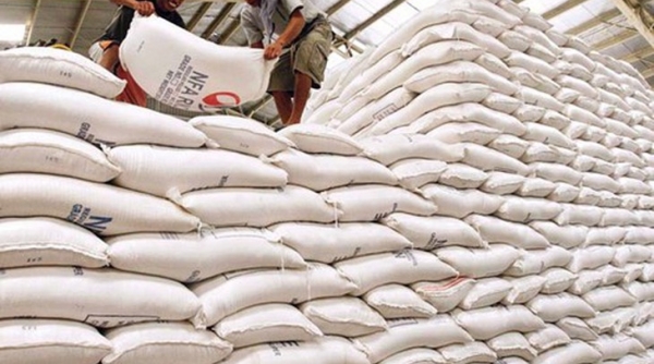 Minh bạch trong đấu thầu mua gạo dự trữ quốc gia