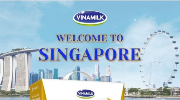 Sữa tươi chứa tổ yến của Vinamilk là sản cao cấp lần đầu có mặt trên thị trường tại Singapore