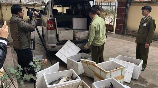 Tăng cường kiểm tra, kiểm soát, ngăn chặn hành vi kinh doanh, nhập khẩu cá tầm