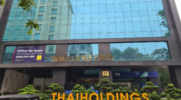 Thaiholdings góp hơn trăm tỷ thành lập Thaihomes