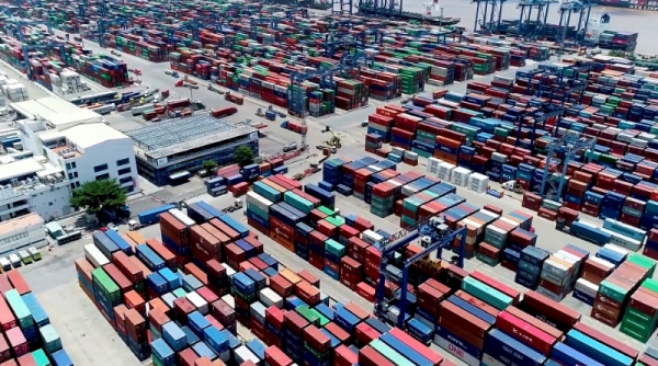 Hải quan TP. HCM tái xuất gần 1.400 container phế liệu nhập khẩu không đạt chất lượng