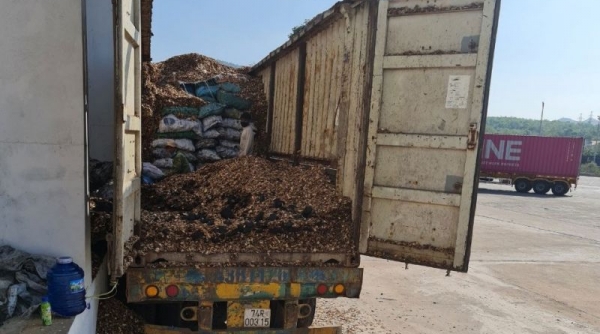 Xử lý lô hàng nghi than đá trên một xe chở gỗ dăm xuất khẩu