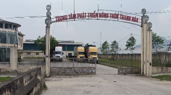 Thanh Hóa: Trung tâm nông nghiệp 17 tỷ, biến thành bãi trông giữ xe