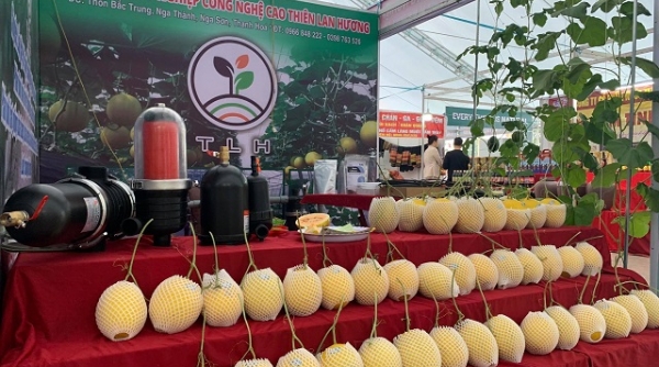 Thanh Hóa: Có 6 sản phẩm thuộc danh mục sản phẩm nông nghiệp chủ lực quốc gia