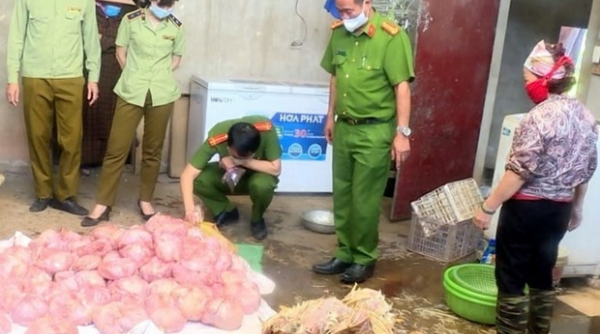 Thái Nguyên: Phát hiện hơn 3 tấn gà bốc mùi chuẩn bị được tuồn ra thị trường