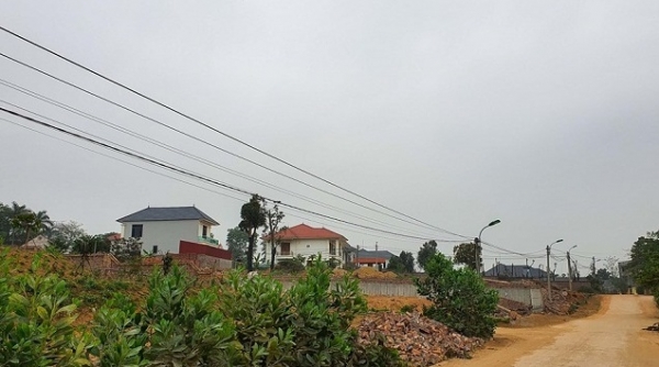 Vĩnh Phúc: Quyết liệt thu hồi, xử lý vi phạm pháp luật về đất đai tại Công ty TNHH Kim Long
