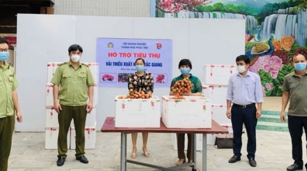 Cục Quản lý thị trường Vĩnh Phúc hỗ trợ tiêu thụ 50 tấn vải thiều Bắc Giang trong mùa dịch