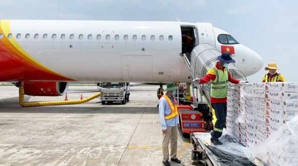 Vietjet hỗ trợ đưa vải thiều Việt Nam xuất ngoại