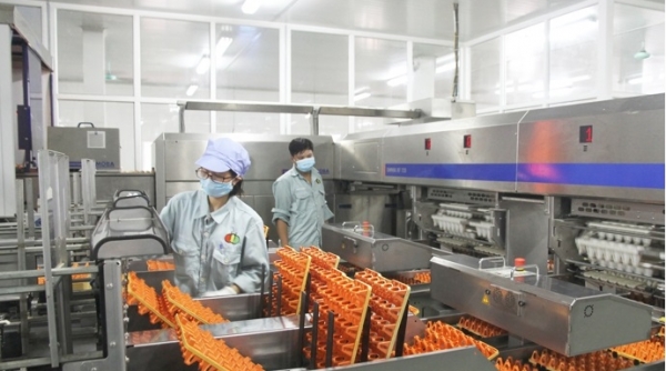 Bắc Ninh: Ca mắc Covid-19 không liên quan đến Nhà máy chế biến thức ăn Dabaco