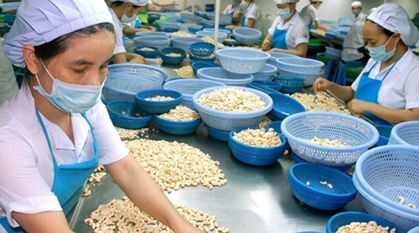 Kim ngạch xuất nhập khẩu Việt Nam - UAE tăng trưởng khả quan trong 7 tháng đầu năm