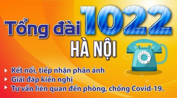 Hà Nội: Tổng đài 1022 tiếp nhận hơn 2.000 phản ánh trong 5 ngày