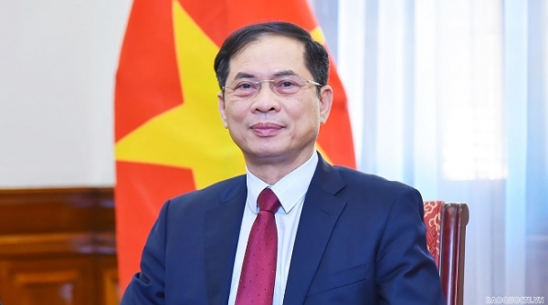 Bộ trưởng Ngoại giao Bùi Thanh Sơn gửi thư chúc mừng 76 năm ngày thành lập ngành Ngoại giao