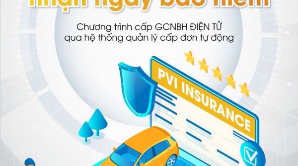 Bảo hiểm PVI: Dẫn đầu thị trường trên mọi chỉ tiêu tài chính