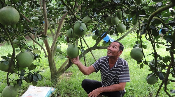 Đồng Nai: Nông dân được bổ sung vào đối tượng được cấp giấy đi đường