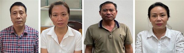 Vụ nâng khống giá cây xanh ở Hà Nội: Khởi tố, bắt tạm giam thêm 4 bị can
