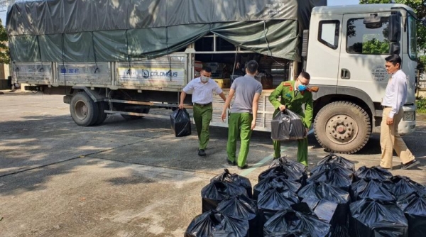 Thanh Hóa: Bắt giữ xe tải chở hàng trăm chai rượu ngoại không rõ nguồn gốc