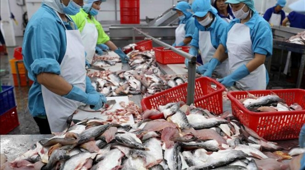 Cơ hội cho các DN Việt đẩy mạnh xuất khẩu cá tra sang Brazil