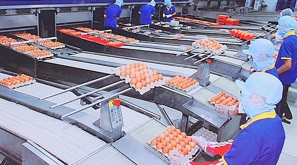 Các doanh nghiệp tại TP. Hồ Chí Minh vừa phòng chống dịch vừa duy trì sản xuất