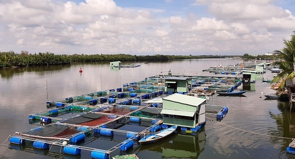 Tổng cục Thủy sản chỉ đạo hạn chế thiệt hại cho nuôi thủy sản lồng bè mùa mưa lũ