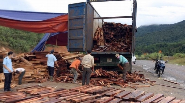 Khởi tố vụ buôn lậu lô gỗ quý trị giá hàng tỷ đồng qua cửa khẩu La Lay