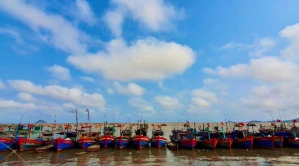 Ngư dân Thanh Hóa gặp nhiều khó khăn do giá nhiên liệu tăng cao, giá hải sản lại giảm thấp