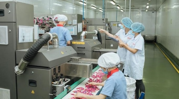 URC Việt Nam: Nâng cao chất lượng sản phẩm để không thể làm giả