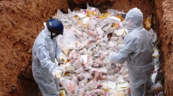 QLTT Quảng Bình: Tiêu hủy hơn 117.000 sản phẩm hàng hóa vi phạm