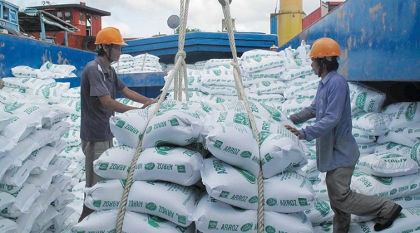Năm 2022, EU tiếp tục là thị trường xuất khẩu gạo tiềm năng của Việt Nam