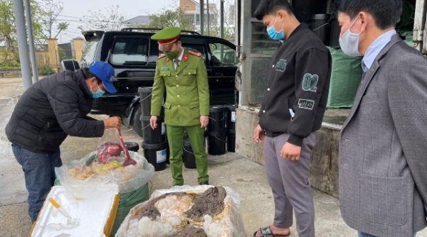 Công an Thừa Thiên Huế bắt giữ xe chở 02 tấn nội tạng không rõ nguồn gốc