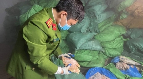 Phát hiện gần 10 tấn chân gà, nội tạng động vật không rõ nguồn gốc tại Hà Nội