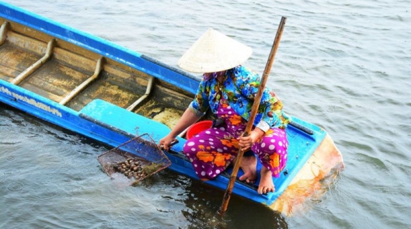 Cà Mau phát triển và nhân rộng các mô hình sản xuất có hiệu quả